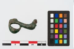 Foto von Bronzevogelkopffibel (NHMW-PRAE-002255)